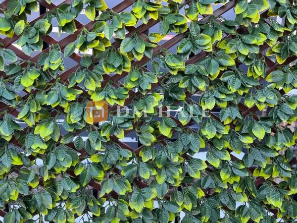 Декоративна ограда Хармоника - Чемшир (Тъмно зелен) 90%, 2х1 метра