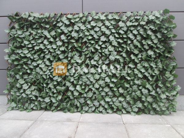 Декоративна ограда Хармоника - Бръшлян (Тъмно зелен), 90%, 2х1 метра