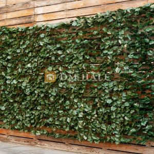 Декоративна ограда, листа от лигус, 2.5х1 м