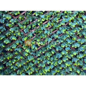 Декоративна ограда Хармоника - Чемшир (Тъмно зелен) 90%, 2х1 метра